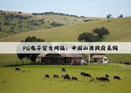 PG电子官方网站：中国山西政府采购